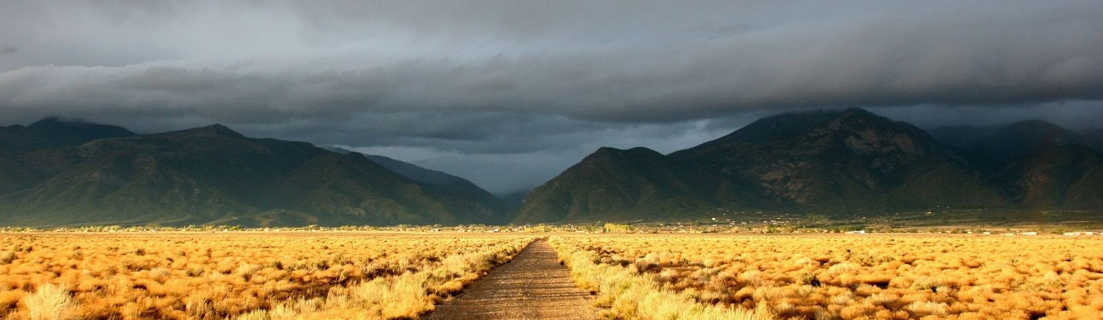 Golden field, green mountains, grey cloud coverage