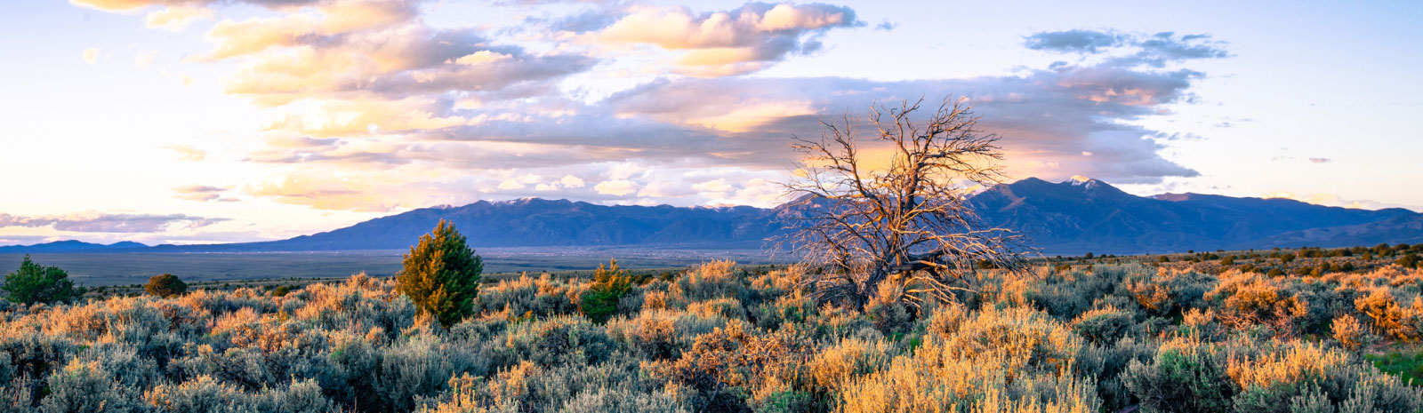 taos landscape