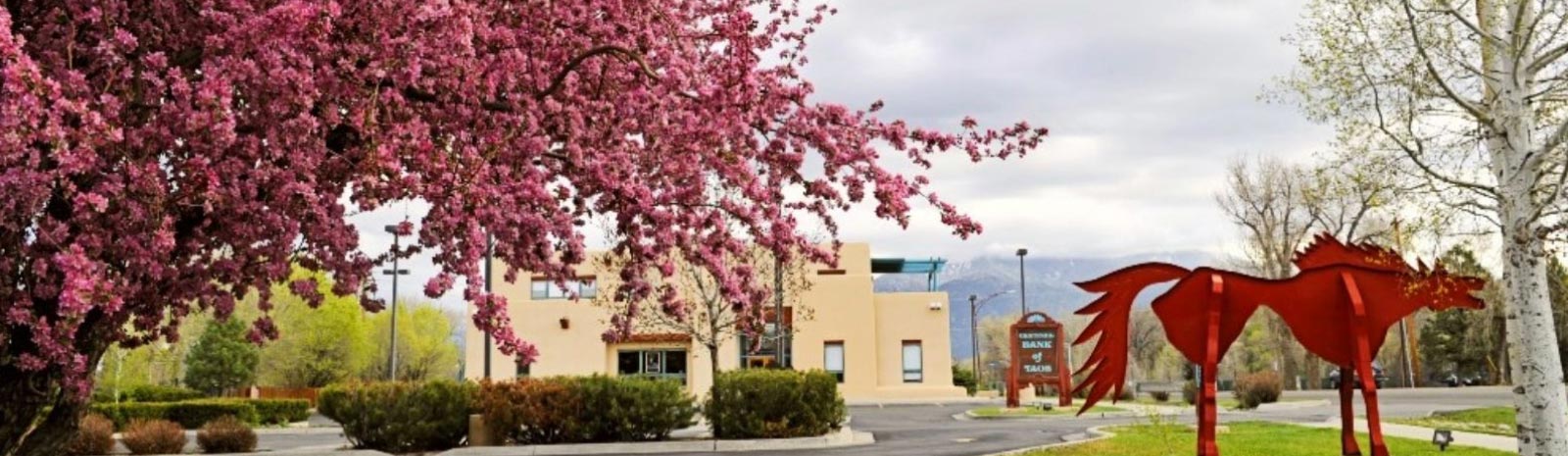 pink blossoms on tree, red horse statue in front of bank building