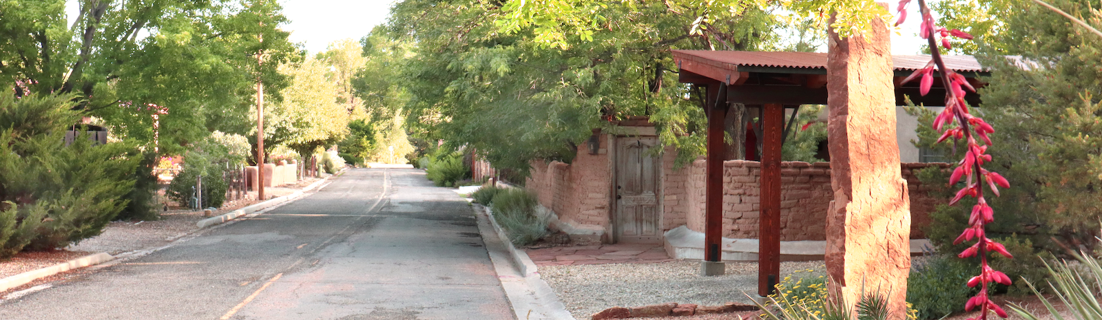 Street lined with trees and buildings